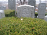 Mandel: Berta: Grave (buried as Bertha Vogel)