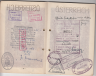 Mandel: Elfi: Passport Pages 8-9