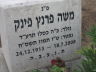 Fink: Moshe: Grave