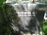 Stein: Ignaz: Grave