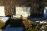 Hartman: Grave Marker: New Montefiore Cemetery