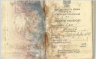 Knopf: Leo: Polish Passport 1