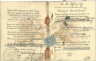 Knopf: Leo: Polish Passport 3