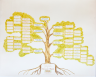 Beck: Calligrapher’s Family Tree (circa 1979)