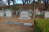 Hartman Lowy Herman: Grave Marker