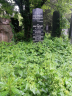 Wachsler: Jakob: Grave(died 1934-06-03)